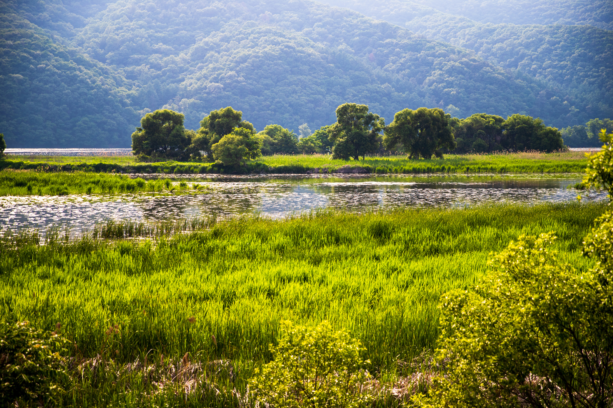 힐링할 수 있는 곳은 없을까? 그래서 찾아낸 힐링 언택트 여행지. 도심에서 가깝고, 물과 공기 맑기로 유명한 경기도 광주시다.
