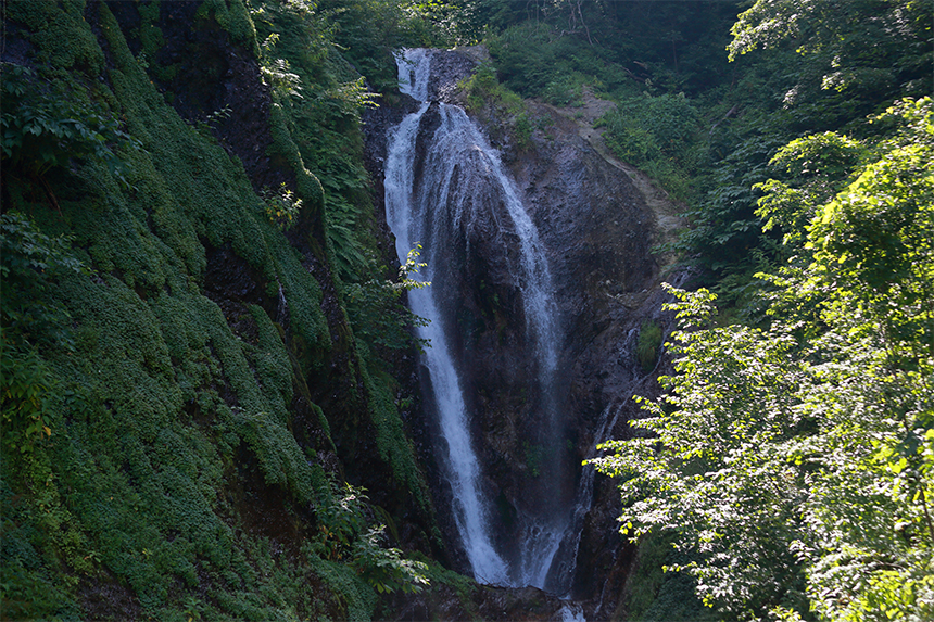 코로나19와 긴 장마에 지친 안쓰러운 나와 우리를 위한 2박3일간의 잊지 못할 여행. 산과 바다를 품은 신비의 섬으로 떠나자.
