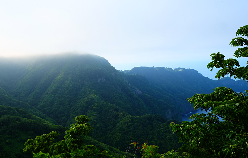 코로나19와 긴 장마에 지친 안쓰러운 나와 우리를 위한 2박3일간의 잊지 못할 여행. 산과 바다를 품은 신비의 섬으로 떠나자.