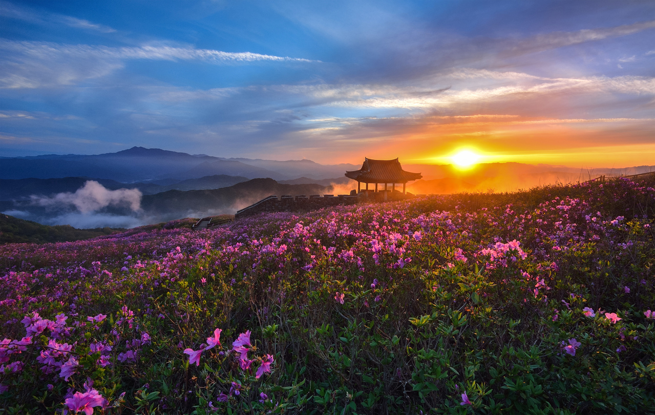 도시의 화려한 야경도 아름답지만 어두운 밤하늘을 수놓은 별빛 아래에 서면 연신 감탄사만 이어질 뿐. 현대인의 메마른 마음은 대자연의 품 안에서 촉촉한 감성으로 젖어든다. 별 하나, 별 둘 헤아리며 낭만에 빠지는 초겨울밤의 이벤트 ‘별보기’.