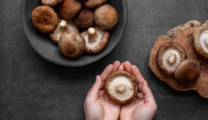 반려견, 반려묘, 이제는 반려버섯 시대가 열릴 것인가!