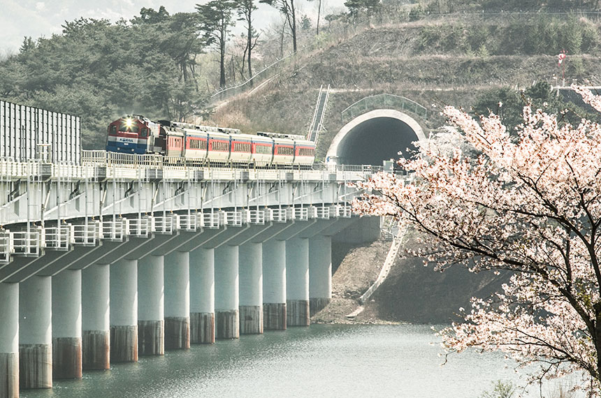 구불구불한 낡은 철로는 낭만의 장소는 될지언정 교통의 편리함과 안전을 보장해주진 못한다. 충남 보령시 일원의 장항선3공구 철로 이설은 주행 시간을 단축하고 사람들이 안전하게 이동할 수 있도록 하는 중요한 공사였다. 산을 관통해 터널을 뚫고 물 위로 교량을 세우며 마침내 올해 1월 5일 남포~판교 구간의 직선화를 완료하고 개통한 현장팀의 노고가 값진 이유다.